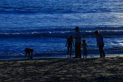 DSC_1238 (Large).JPG